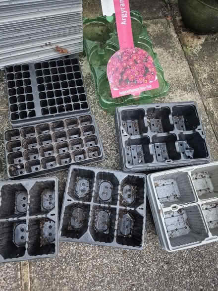 Photo of free Assorted Plant Trays (Handforth SK9) #4