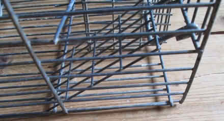 Photo of free Two humane rat traps (Llanystumdwy LL52) #2