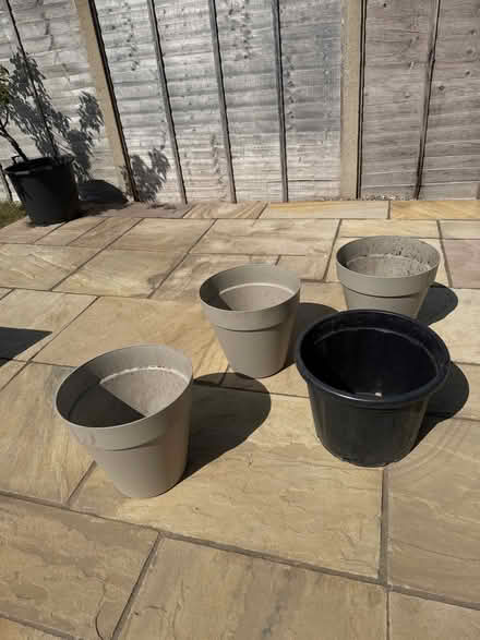 Photo of free Patch Plant Pots (Borden ME9) #2