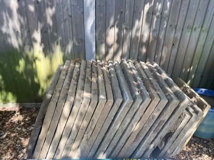 Photo of free Paving slabs (Ewhurst GU6 7QH) #1