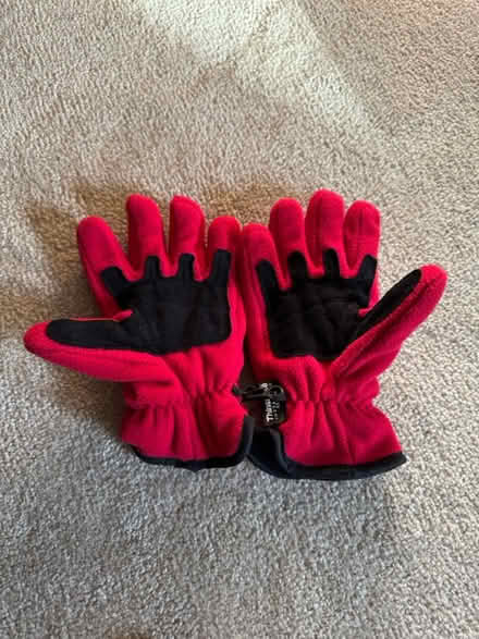 Photo of free Cornell Winter Gloves (Ithaca) #2