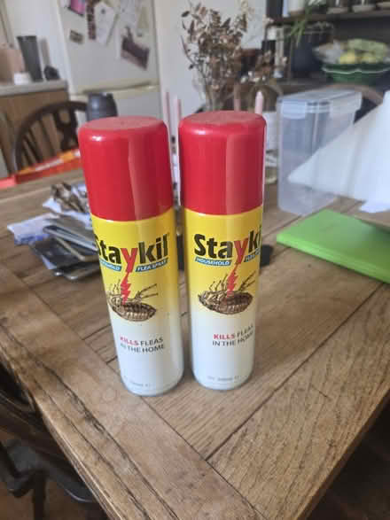 Photo of free Flea spray (Ringmer) #1
