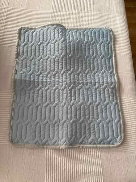 Photo of free Pet cooling mat (Great Maplestead CO9) #1