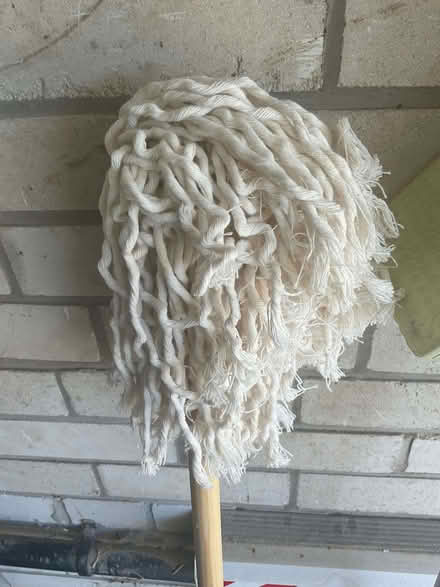 Photo of free Mops (Woodley SK6) #2