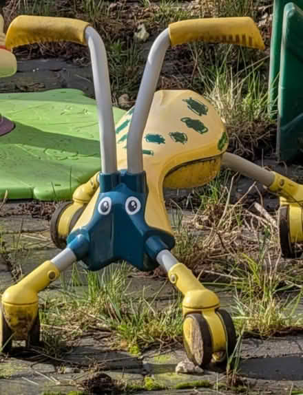 Photo of free Scuttle bug #2 (Felling) #1