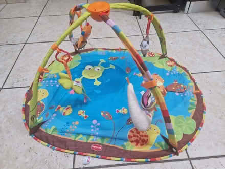 Photo of free Baby Play Gym (Pyrford GU22) #1