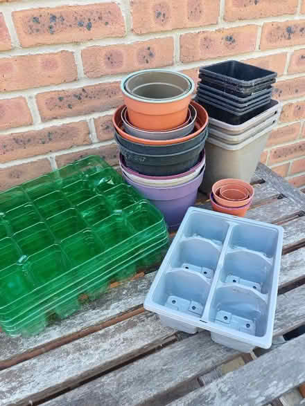 Photo of free Seed trays and plant pots (Bixley IP4) #1