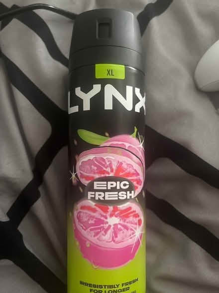 Photo of lynx (darwen) #1