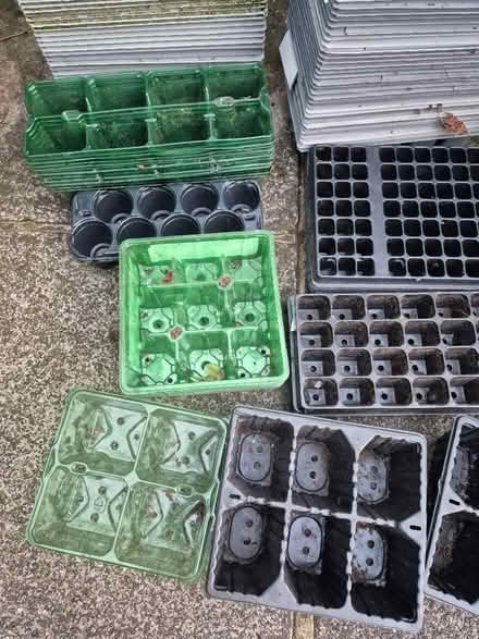 Photo of free Assorted Plant Trays (Handforth SK9) #3