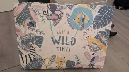 Photo of free Gift bags (SE25 4HT) #2
