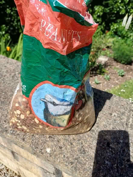 Photo of free Peanuts for birds (Bradford on Avon BA15) #2