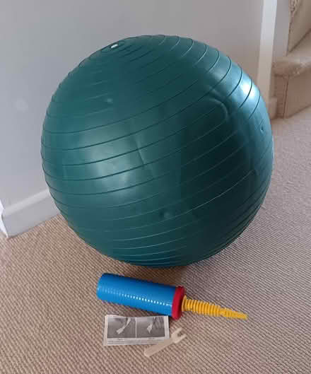 Photo of free Swiss ball (Nr centre Bishop's Stortford) #2
