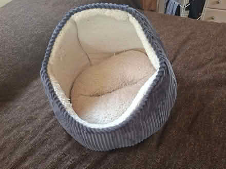 Photo of free Cat bed (Crewe CW1) #2