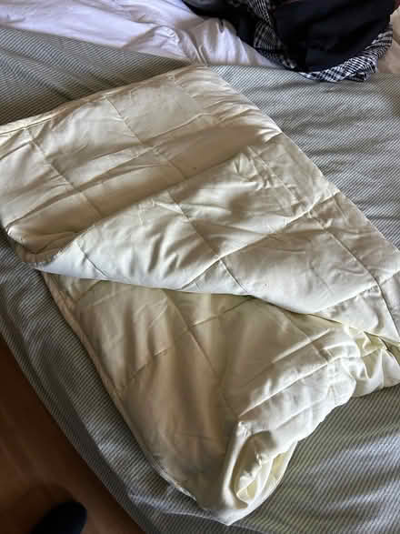 Photo of free Weighted blanket (Belmont) #1