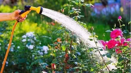 Photo of Garden hose (Stroud Green N8) #1