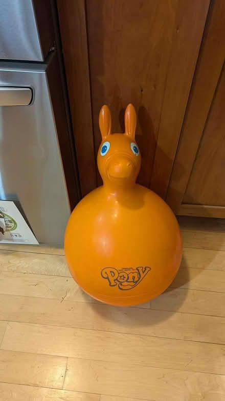 Photo of free Bouncing pony ride-on toy (North Cambridge) #1