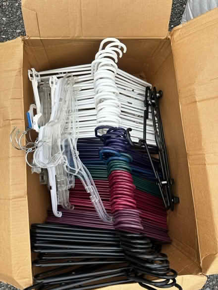 Photo of free hangers (SE Auburn) #1