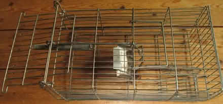 Photo of free Two humane rat traps (Llanystumdwy LL52) #1