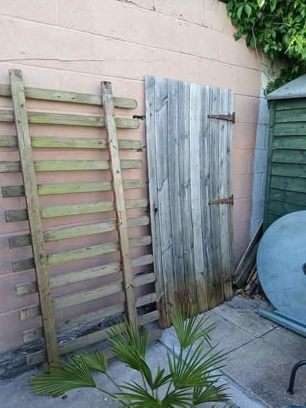 Photo of free Various bits of wood (BS16) #1