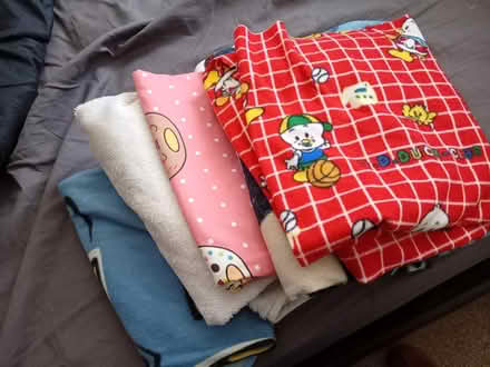 Photo of free Dog blankets (DE7, ilkeston) #1