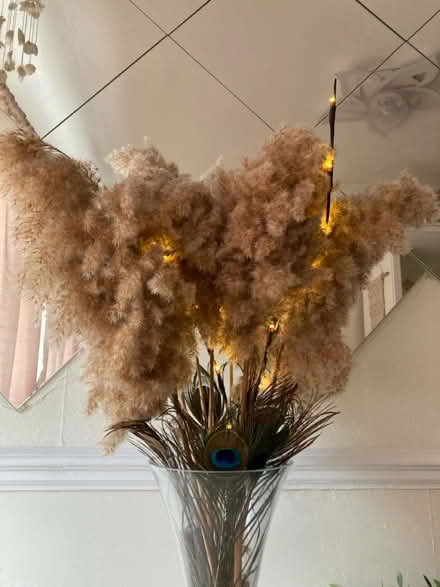 Photo of free Pampas grass and twig lights (Dagenham RM9) #1