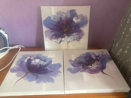 Photo of free 3 canvas’ (Nuneaton CV11) #1