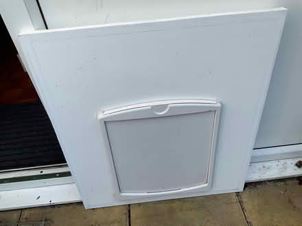 Photo of free Large Pet Door, in door panel (Crowmarsh Gifford) #1