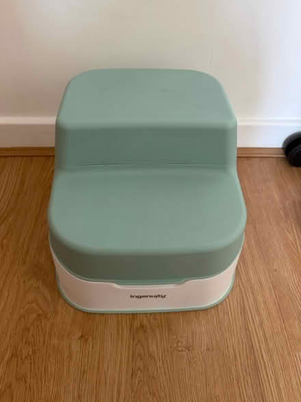 Photo of free potty (enfield EN1) #1
