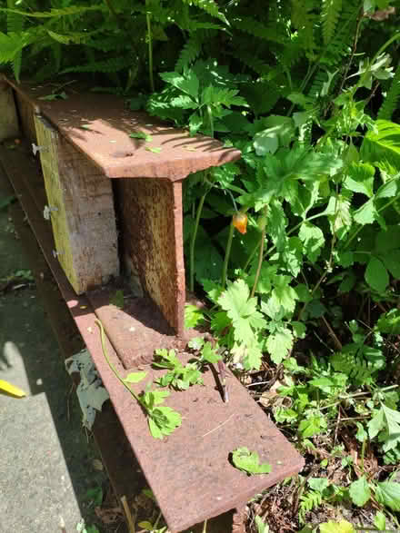Photo of free Two RSJ beams (Horwich End SK23) #1
