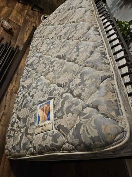 Photo of free Daybed with Trundle bed (Clio- Blue Springs area) #4