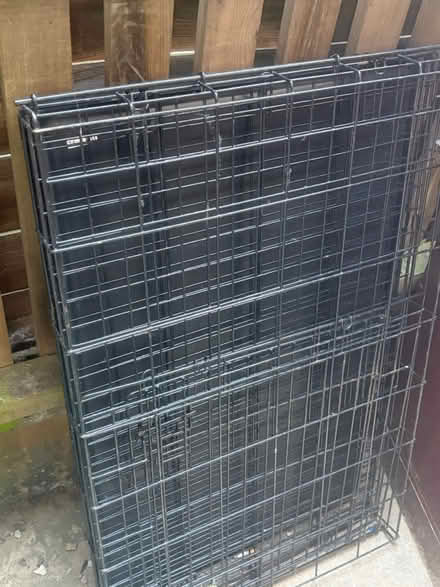 Photo of free Dog crate (Nuneaton CV11) #1