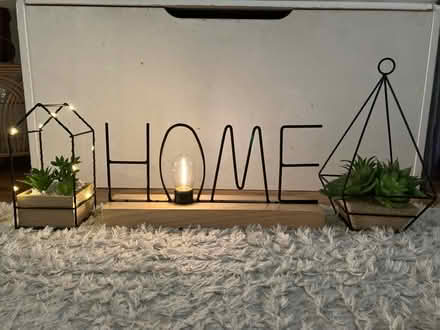Photo of free Light up home sign and plants (Dagenham RM9) #1