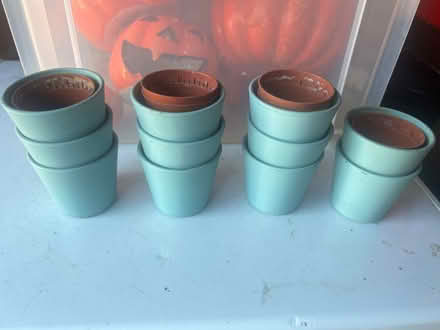 Photo of free 11 mini plant pots (Fobbing SS17) #1