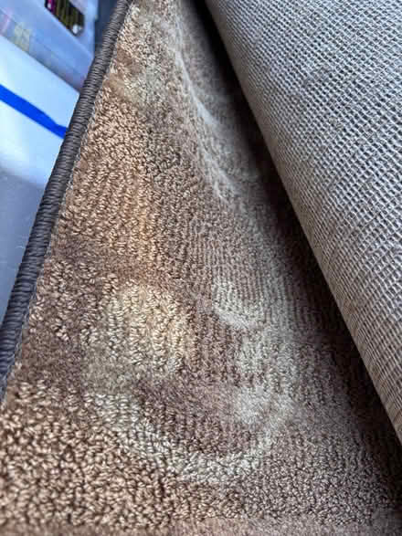 Photo of free Big rug 9x10ish (Fremont) #1