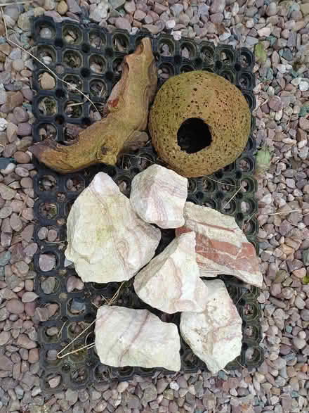 Photo of free Aquarium accessories (TF9) #1