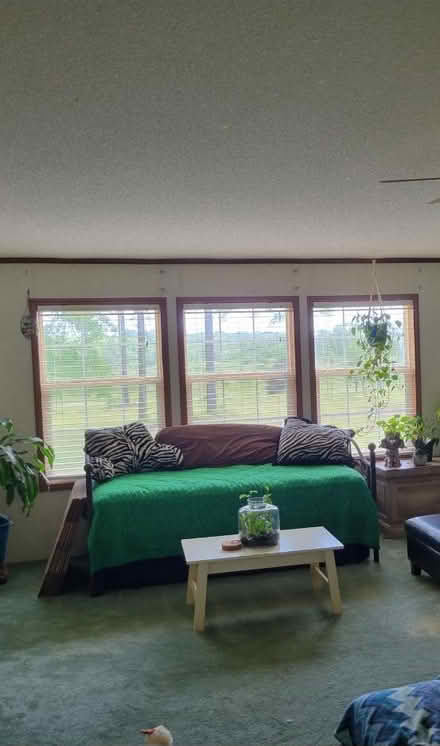 Photo of free Daybed with Trundle bed (Clio- Blue Springs area) #1