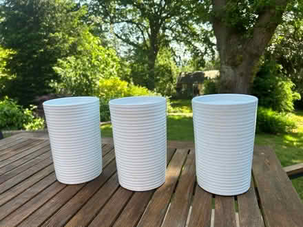 Photo of free 3 tall white ceramic planters (Wimbledon Park SW19) #2