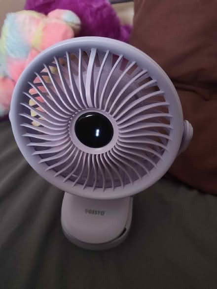 Photo of fan (Bede Island LE2) #1