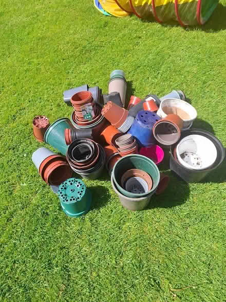 Photo of free Plant pots (Eh14) #1
