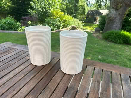 Photo of free 2 tall cream ceramic planters (Wimbledon Park SW19) #1