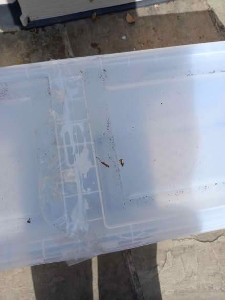 Photo of free Christmas tree box (Market Deeping PE6) #3