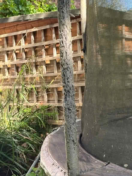 Photo of free 3.5m/11.5ft Trampoline (RG40 Wokingham) #3