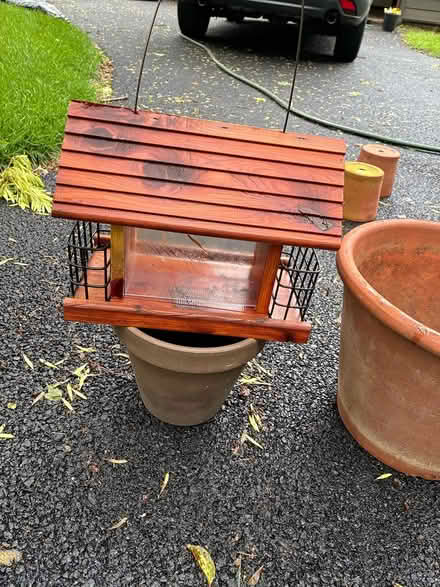 Photo of free Bird feeders - seed and suet (19317) #3