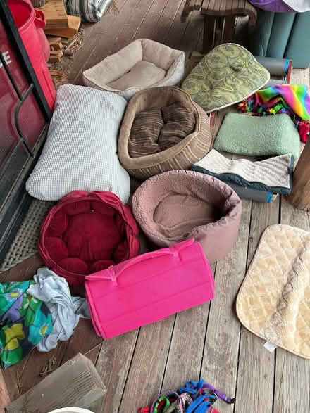 Photo of free dog beds and blankets (gunbarrel) #1