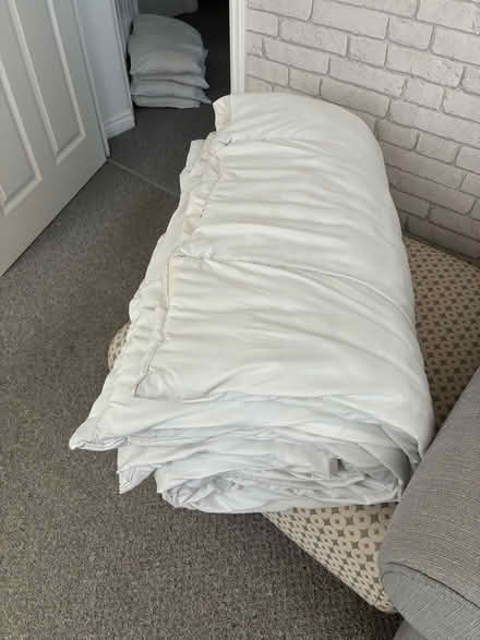 Photo of free Duvet (Gaywood PE30) #1