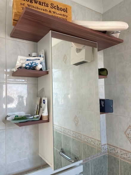 Photo of free Mirrored cabinet with shelves (Woodley RG5) #1