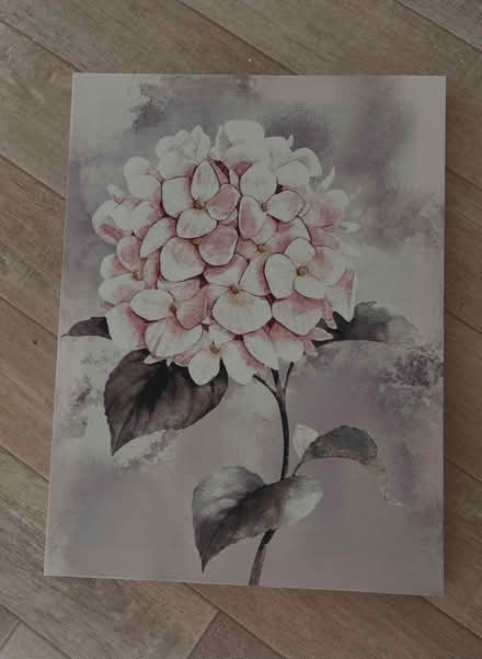 Photo of free Hydrangea Canvas Wall Art Print (30x40cm) (Beaconsfield HP9) #1
