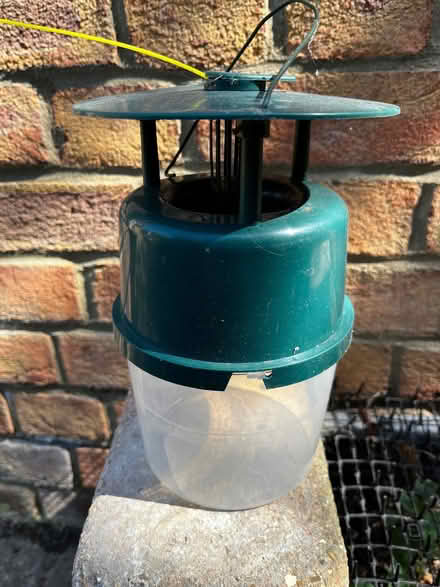 Photo of free Box tree caterpillar moth trap (Baldock SG7) #1
