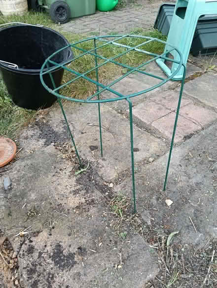 Photo of free Plant Support (Napsbury AL2) #2