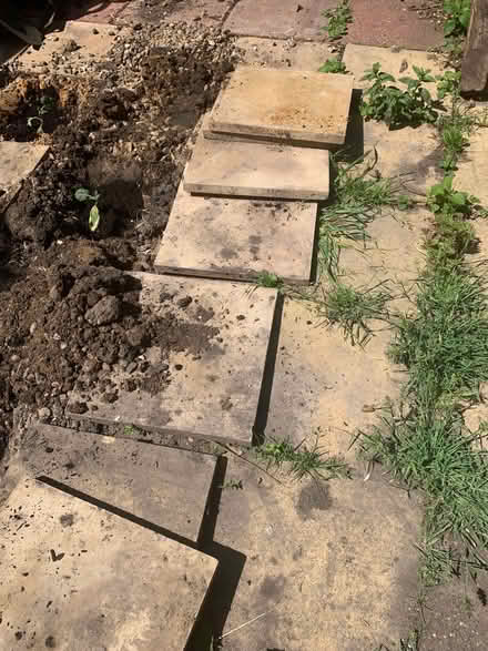 Photo of free Paving slabs (Edmonton N9) #1